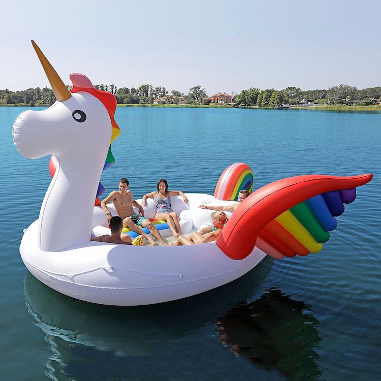 inflatable float 1d