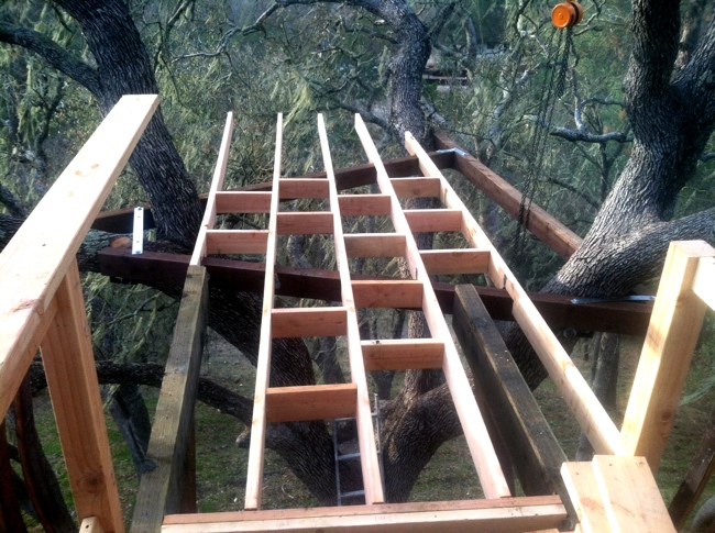 This Man Took $5000 And Single-Handedly Built This INSANE Tree House