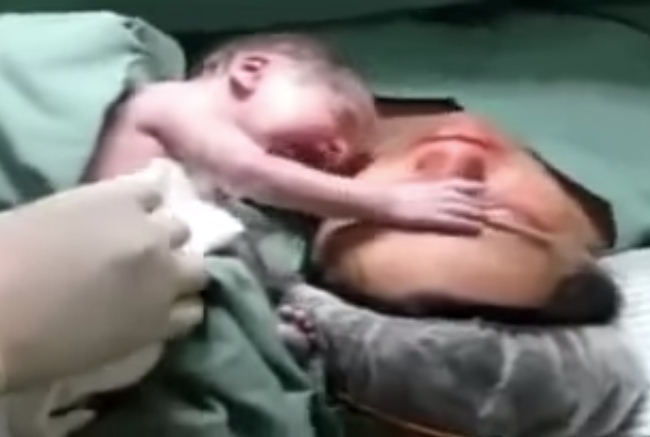 Newborn Refuses To Let Go Of Mother