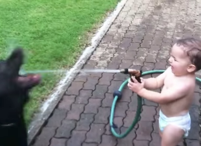 Cute Alert: Baby Sprays Dogs. His Laugh Is So Infectious!
