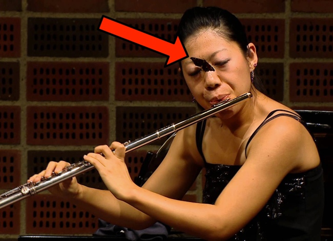 A Japanese Flutist Was Performing During An International Competition When Something Truly Magical Happened