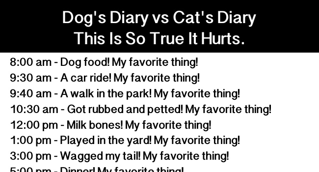 Dog's Diary vs Cat's Diary. This Is So True It Hurts.