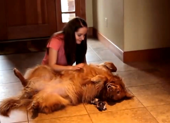 She Was Afraid Of Leaving Her Dog At Home Alone, So She Came Up With This Clever Idea