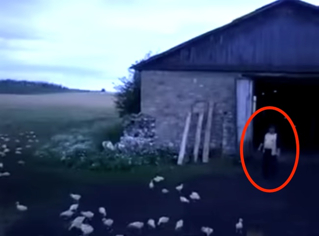 Bare-Chested Russian Man Orders Ducks To Attention, Marches Them Into Barn