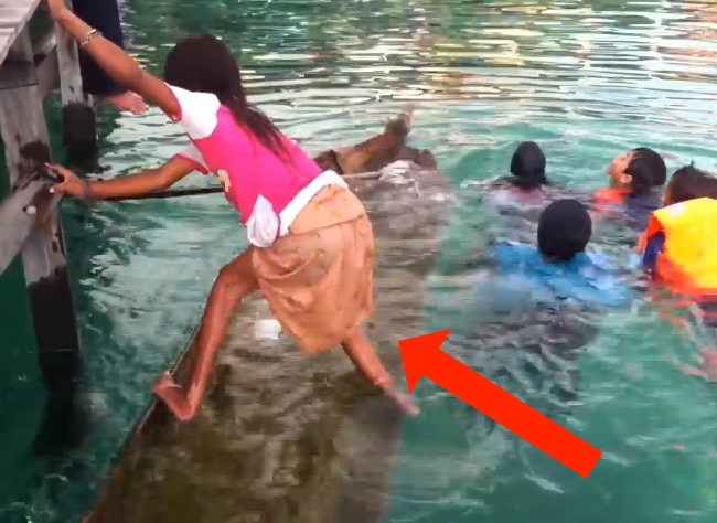 Watch How This Young Girl Saves Five People From Drowning In Under A Minute. Wow!
