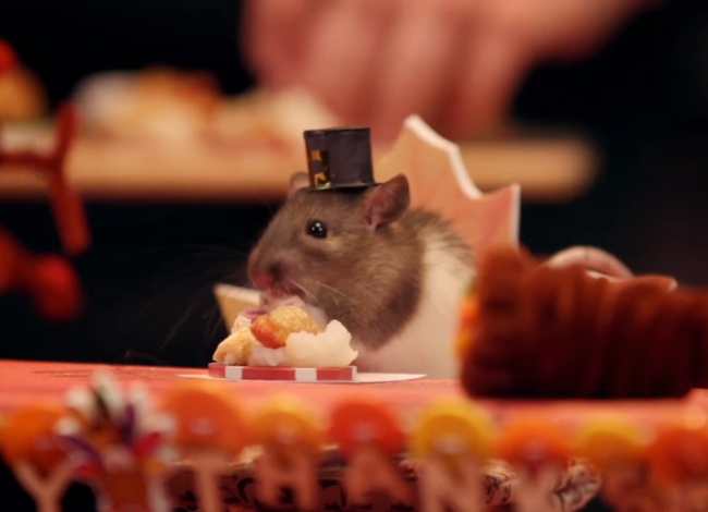 Tiny Hamster Shares A Thanksgiving Meal With His Friends, And It's Insanely Adorable!
