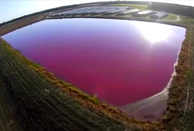 He Flies A Camera Over Farms, Discovers Something Sickening About Our Food