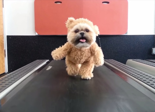This Might Be The Cutest Video You See All Day