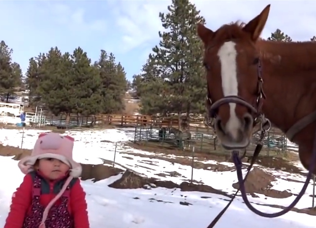 Watch This Little Girl And Her Horse Send You Into Cuteness Overload