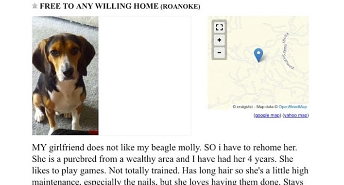 His Girlfriend ORDERED Him To Get Rid Of His Dog, So He Posted This Ad