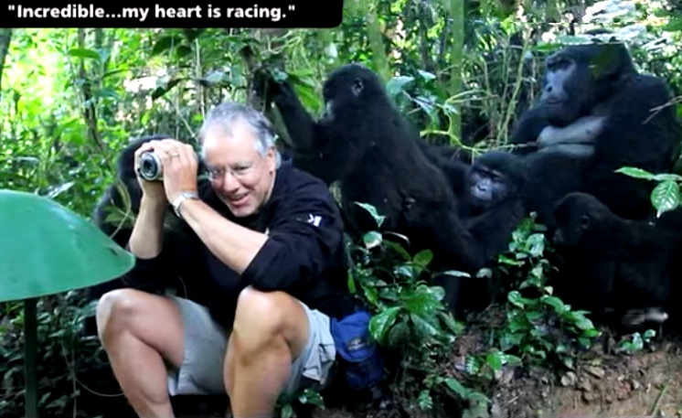 gorilla-encounter-wow1