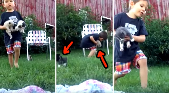 This Little Boy Has A Kitty Situation, And You'll Wish You Had It Too
