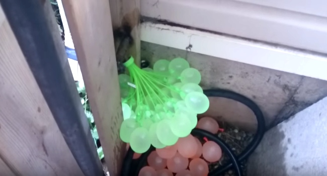The Coolest Water Balloons You'll Ever See