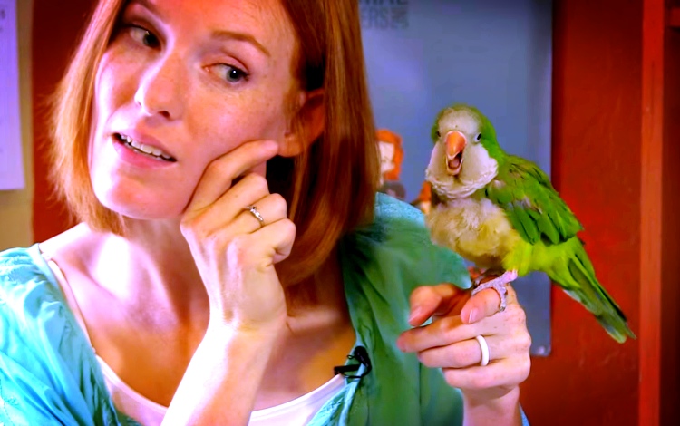 Parrot Sits For An Interview. When He Starts? I Can't Stop Smiling!
