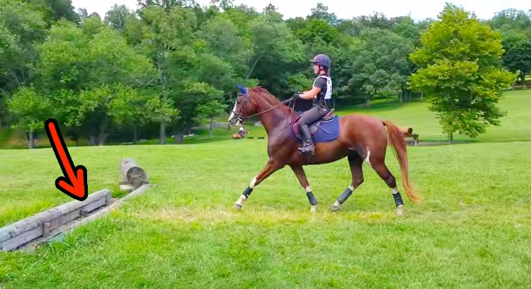 Hesitant Horse Learns To Jump A Ditch, And Nails It