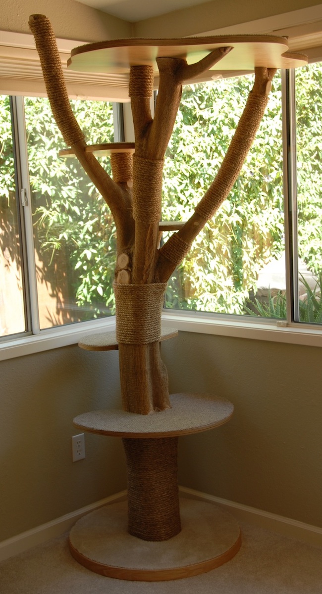 01 - A cat tree built with a donor tree from my front yard