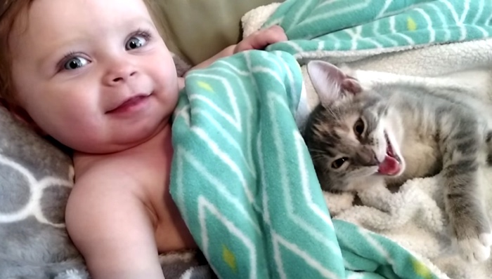 This Baby And Kitten Combo Are Too Cute To Resist