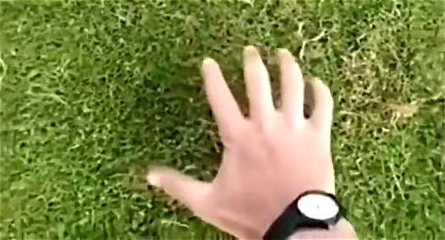 How This Man Catches Moles On A Golf Course Is Unbelievable