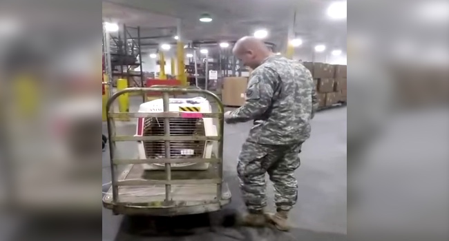 Fundraiser Reunites A Soldier And His Dog