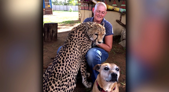 How My Pet Cheetah Helped Me Fight Cancer