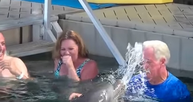 Tourist Has A Water Fight With A Dolphin