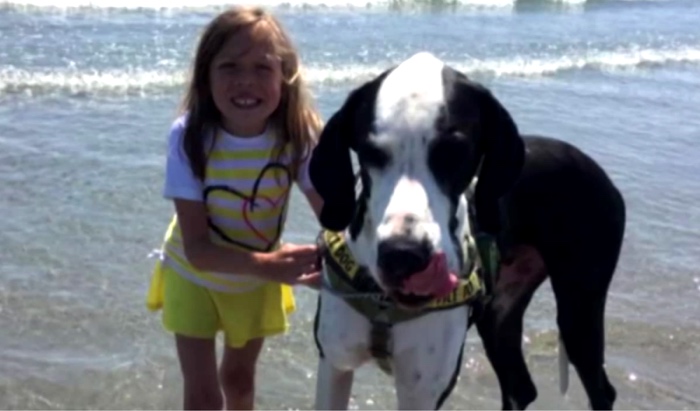 The Heartwarming Story Of Bella And Her Service Dog George