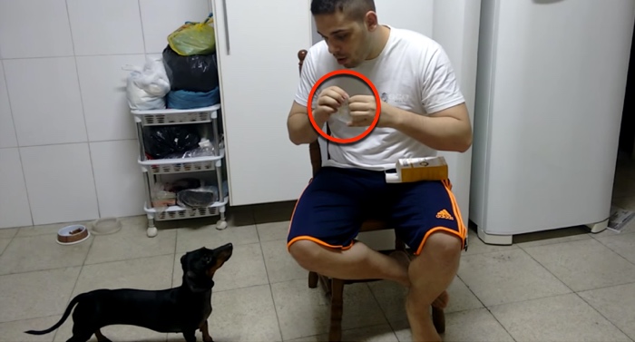 Brazilian Man Uses Reverse Psychology So His Dog Will Take Her Meds