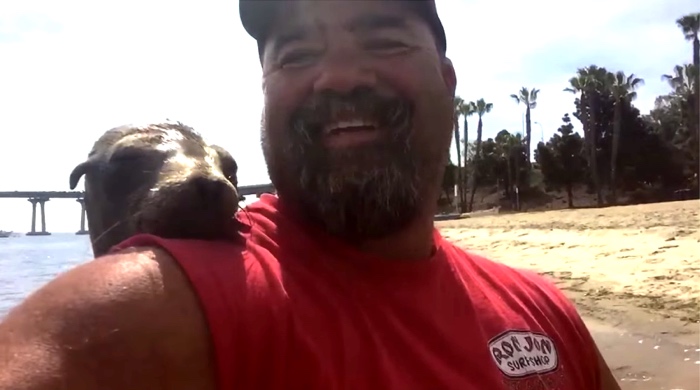 Man Becomes Best Friends With A Seal