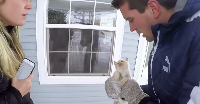 They Find A Kitten Frozen In The Snow And Bring It Back To Life