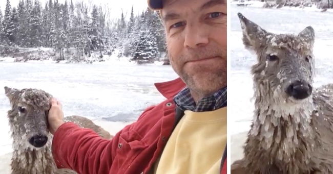 Deaf Man Saves Baby Deer From An Icy Death