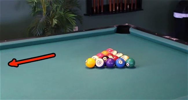 Chihuahua Dog Knows How To Play Pool, And It's BEYOND Adorable