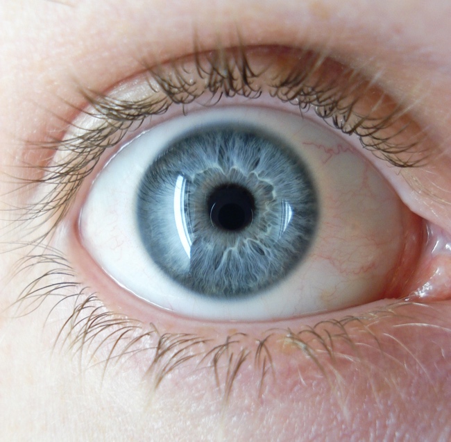 Got Blue Eyes? You Have To Thank A Single Person From 10,000 Years Ago.