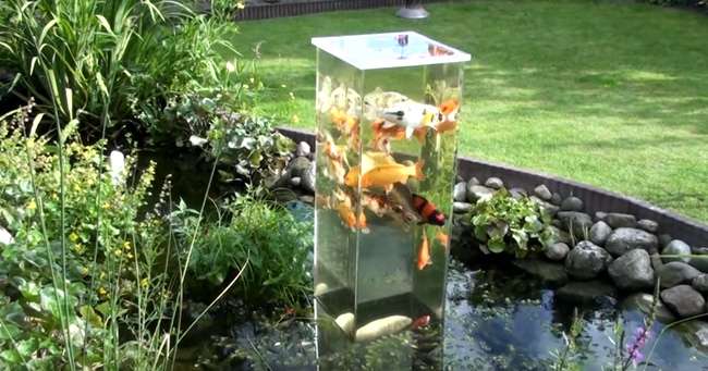 German Koi Enthusiast Comes Up With A Great Way To See His Fish