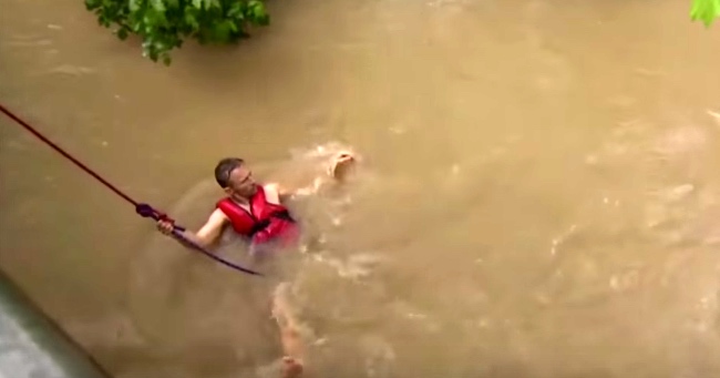 Humble Heroes Rescue Horses from Deadly Flood Waters in Texas