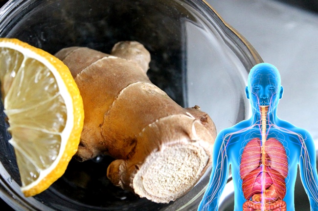 10 Reasons To Have More Ginger In Your Life