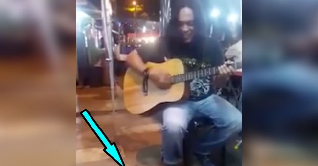 When He Starts Playing Guitar, The Most Unusual Audience Lines Up Within Seconds