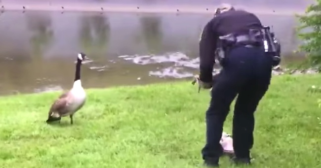 Mother Goose Asks Cincinnati Police For Help