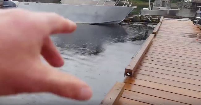 This Man Filmed A Most Unusual Sight In The Harbor