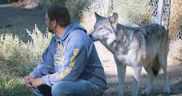 PTSD-Afflicted Veterans Are Healing With The Help Of Rescued Wolves
