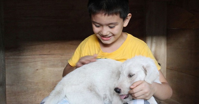Little Kid Opens a No-Kill Shelter in His Own Garage!
