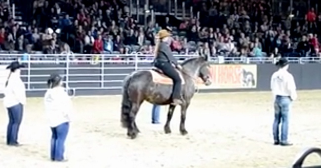 Horse Dances in Choreographed Rodeo Routine