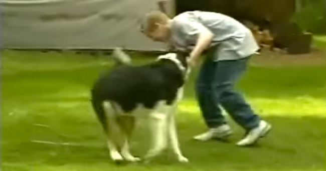 Hero Dog Saves Family From House Fire