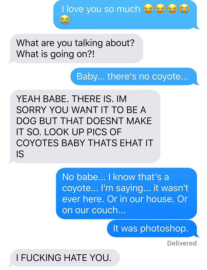 coyote-dog-story12