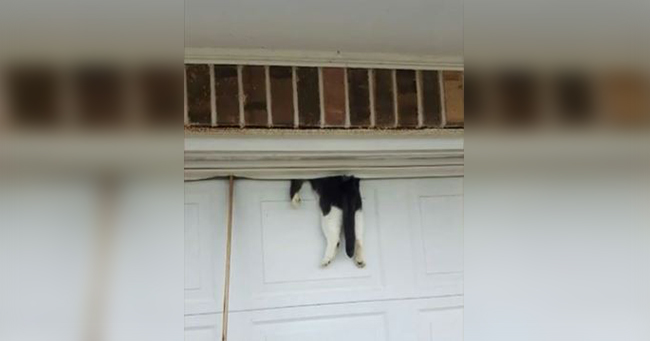 Man Comes Back To Cops Waiting For Him, Then Finds His Cat Stuck On The Garage Door