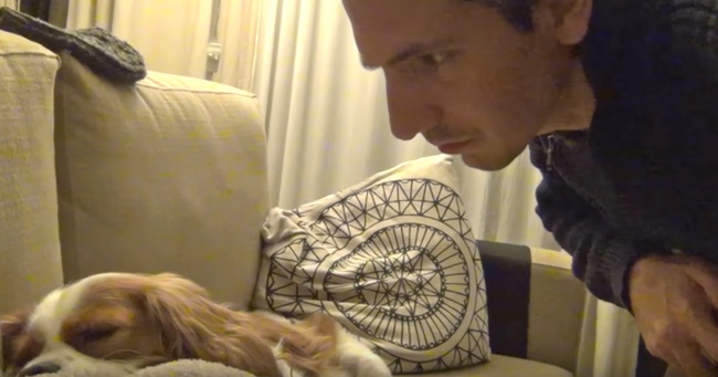 Snoring Dog Gets Hilariously Awakened By Itself In A Video Recording