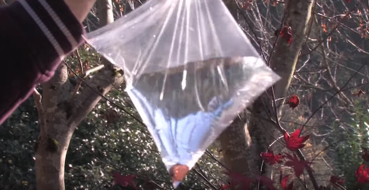 With a Few Pennies and a Sandwich Bag, You Can Scare Away Flies For Good