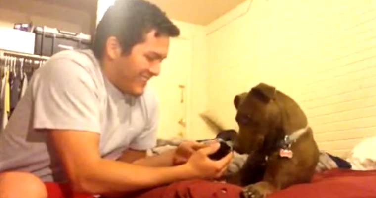 Adorable Dog Immediately Falls in Love With New Family Member