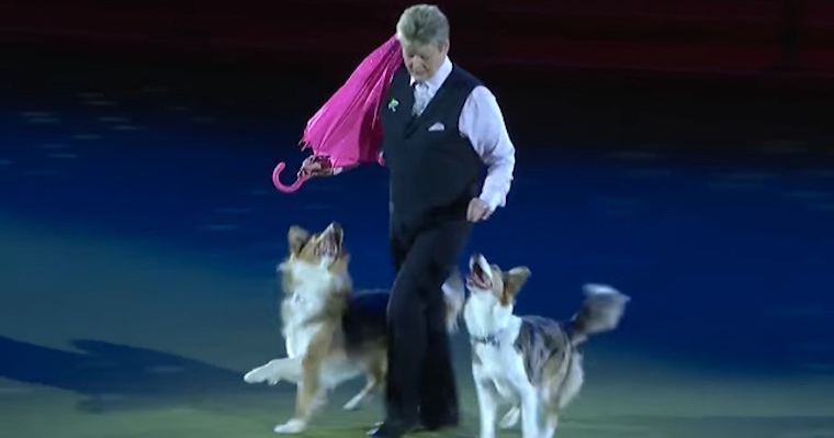 Dogs Charm The Audience By Dancing To “Singing In The Rain” At UK’s Largest Dog Show