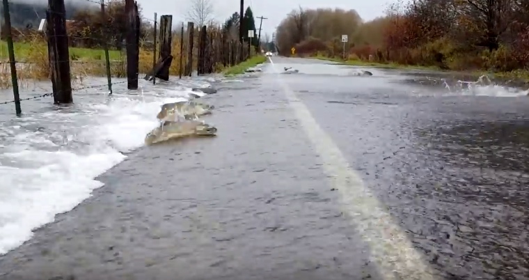 Salmon Motorboat Across the Road to Return Home After a Flood