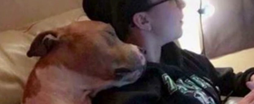 Adopted Dog Won’t Stop Cuddling Her New Mommy After She’s Rescued